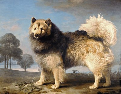 Turk by George Stubbs